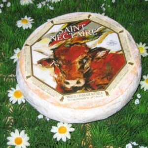 Saint-Nectaire laitier Charrade AOP