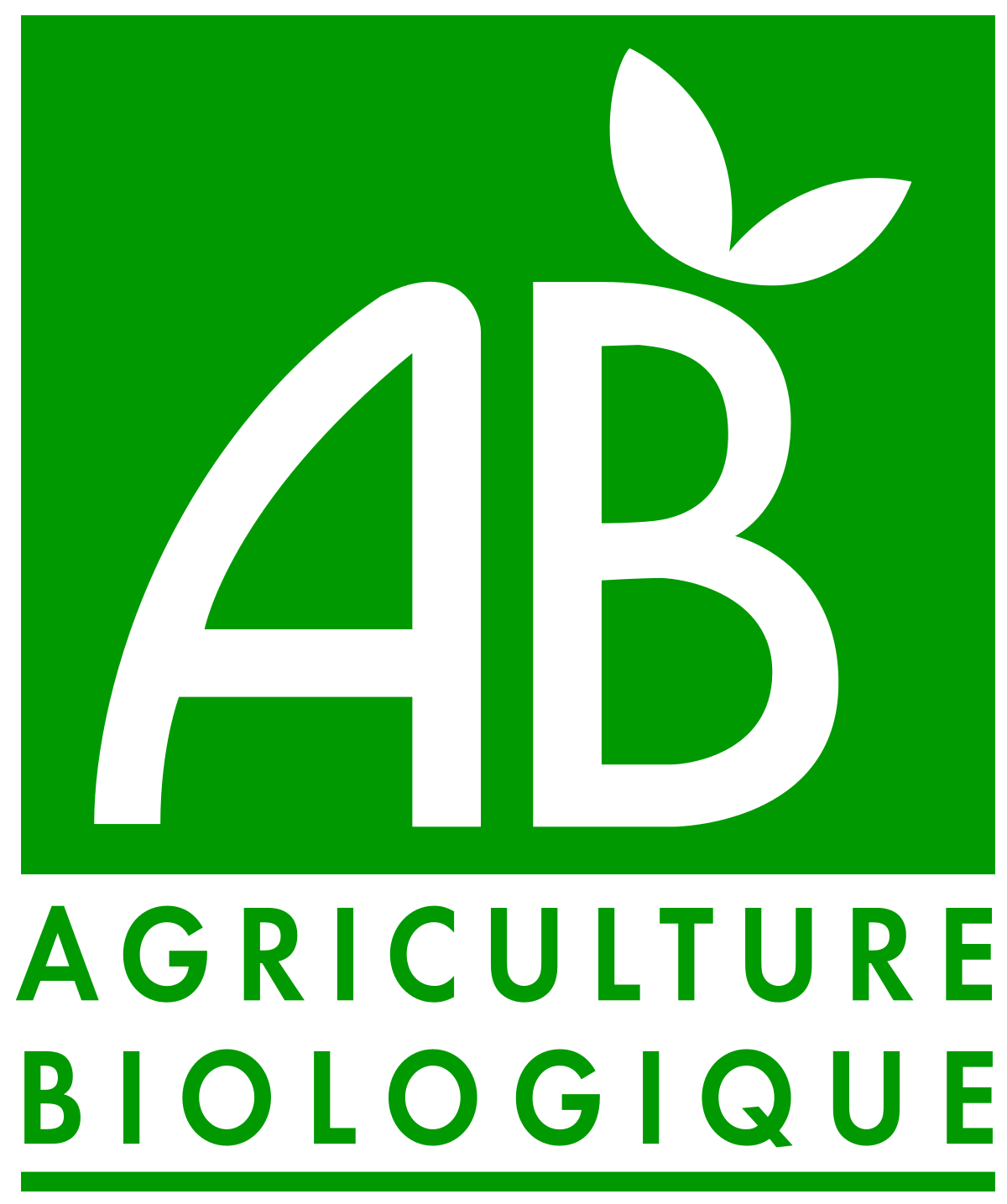 Bio