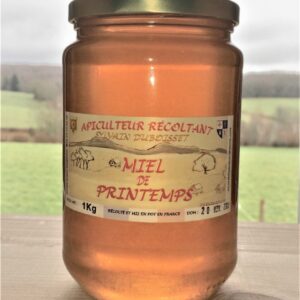 Miel de Montagne printemps 1Kg